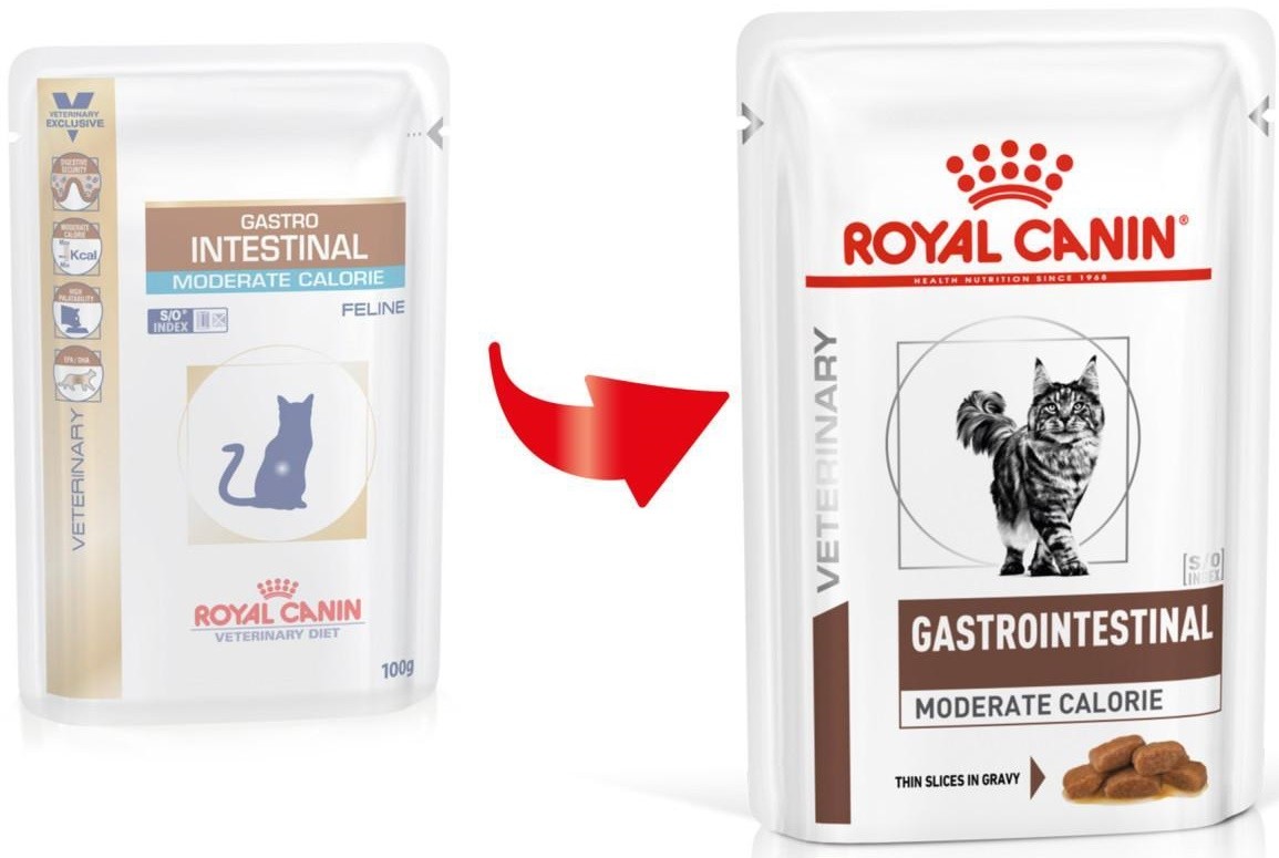 Royal canin moderate calorie для кошек. Паучи РОЯО Канин гастроинтестинал. Gastro паучи Роял Канин. Gastro intestinal moderate Calorie для кошек Royal.