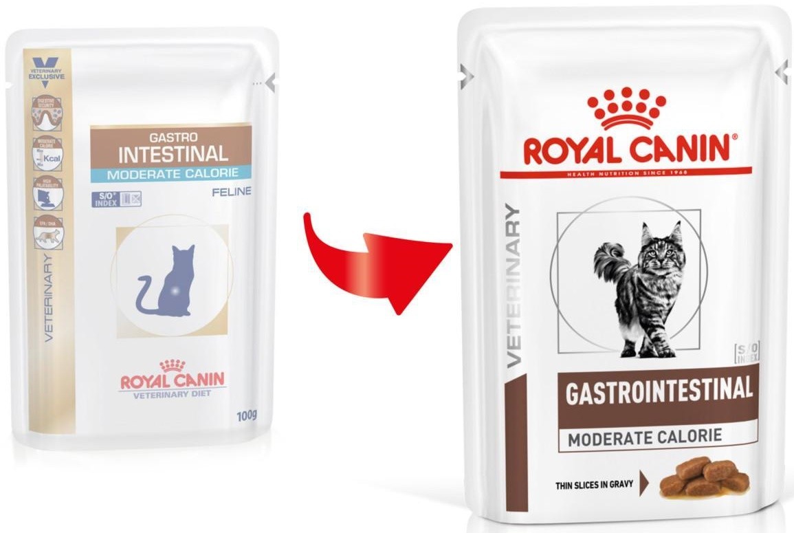 Royal canin intestinal для кошек. Паучи РОЯО Канин гастроинтестинал. Gastro паучи Роял Канин. Royal Canin moderate Calorie для кошек. Gastro intestinal moderate Calorie для кошек Royal.