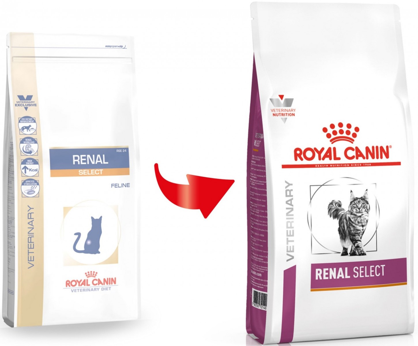 Корм Renal Для Кошек Купить