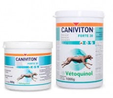Vetoquinol Caniviton Forte granulat 1000g