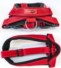 PATENTO PET Szelki Sport XL Czerwone