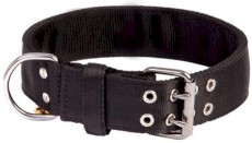 DINGO Bull Obroża dwurzędowa XL 5cm