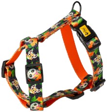 DINGO City Chiapas Szelki Guard S 22-35cm