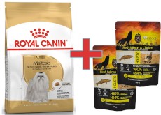 ROYAL CANIN Maltese Maltańczyk Adult 1,5kg + 200g Karmy SuperPremium GRATIS !!
