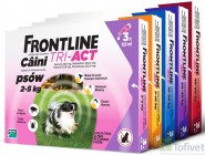 FRONTLINE TRI-ACT Spot-On XS - Preparat na kleszcze u psów dużych ras - HURTOWNIA ZOOLOGICZNA Warszawa FRONTLINE TRI-ACT Spot-On XS - Preparat na kleszcze u psów dużych ras - HURTOWNIA ZOOLOGICZNA Warszawa