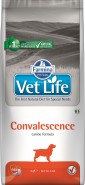 FARMINA Vet Life Convalescence Dog 2kg