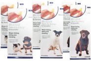 BUSTER Anti-lick naturalny plaster dla psa i kota S 2szt.