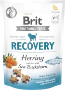 BRIT Care Dog Functional Snack RECOVERY Śledż Rokitnik 150g