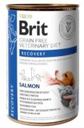 BRIT GF Veterinary Diet RECOVERY Dog / Cat 400g