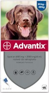 BAYER ADVANTIX Krople dla psa na kleszcze pchły XL 25-40kg 4sz.