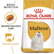 ROYAL CANIN Maltese Maltańczyk Adult 500g