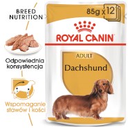 ROYAL CANIN Dachshund Jamnik Adult 85g saszetka