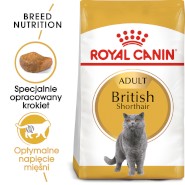 ROYAL CANIN British Shorthair Adult 2kg