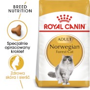 ROYAL CANIN NORWEGIAN FOREST CAT Adult 400g
