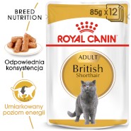 ROYAL CANIN British Shorthair Adult w sosie 85g