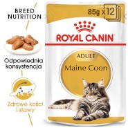 ROYAL CANIN Maine Coon Adult w sosie 85g