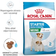 ROYAL CANIN Mini Starter Mother & Babydog 1kg