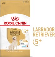 ROYAL CANIN Labrador Retriever Adult 5+ 12kg