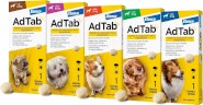 Elanco ADTAB Cat Tabletka na pchły kleszcze dla psa 1,3-2,5kg