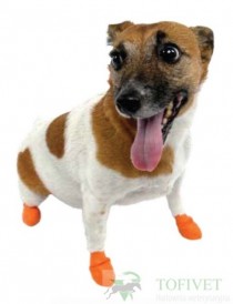 BUSTER Pawz Skarpety ochronne dla psa XS pomarańcz 12szt. - Zdjęcie nr 4