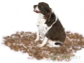 FURminator do podszerstka u psów długowłosych M - Zdjęcie nr 6