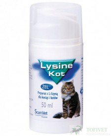 Lysine Kot 50ml SCANVET NAJTANIEJ Warszawa - Żel na zwiększenie odporności kota - Hurtownia weterynaryjna