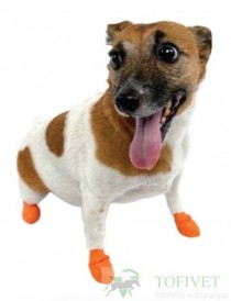 BUSTER Pawz Skarpety ochronne z gumy dla psa XXXS jasnozielone 12szt. - Zdjęcie nr 4