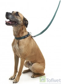 BUSTER NEOPRENE Smycz Rozm.S Zielona 180cm - Zdjęcie nr 3