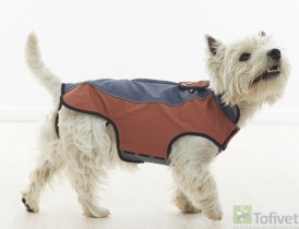 BUSTER Kurtka softshell szaro-fioletowa XXS - Zdjęcie nr 2