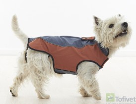 BUSTER Kurtka softshell szaro-brązowa XS - Zdjęcie nr 3