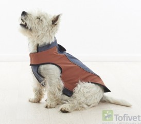 BUSTER Kurtka softshell szaro-fioletowa XXS - Zdjęcie nr 3