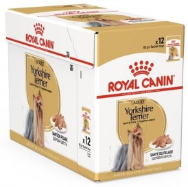 ROYAL CANIN Yorkshire Terrier Adult 12x85g - Zdjęcie główne