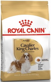 ROYAL CANIN Cavalier King Charles Adult 1,5kg - Zdjęcie nr 2
