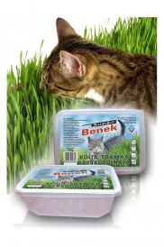 BENEK Trawka Szybkorosnąca 150g - Zdjęcie nr 3
