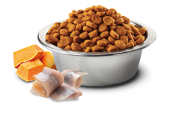 FARMINA ND CAT OCEAN Herring Pumpkin Orange Adult 300g - Zdjęcie nr 2