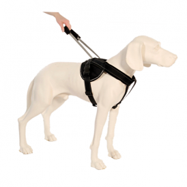 PATENTO PET Szelki Jockey M Czarne - Zdjęcie nr 3