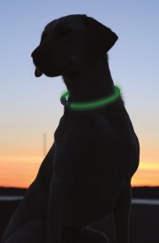 TRIXIE Obroża migająca USB Safer Life L-XL Pomarańczowa - Zdjęcie nr 4