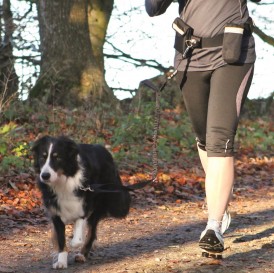 TRIXIE Pas biodrowy ze smyczą Dog Activity Hands Free - Zdjęcie nr 2