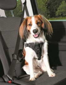 TRIXIE Szelki samochodowe Dog Comfort S-M - Zdjęcie nr 3