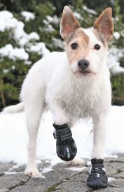 TRIXIE Walker Active buty ochronne XS-S 2szt. - Zdjęcie nr 2