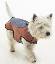 BUSTER Kurtka softshell szaro-brązowa XS - Zdjęcie główne
