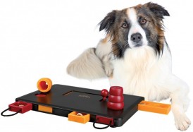 TRIXIE Dog Activity Move2Win - Zdjęcie nr 2