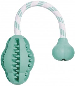 TRIXIE Gryzak na Linie DENTA FUN Miętowy 8x28cm - Zdjęcie główne