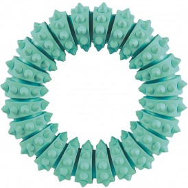 TRIXIE Ring DENTA FUN Miętowy 12cm - Zdjęcie główne