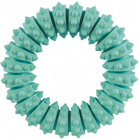 TRIXIE Ring DENTA FUN Miętowy 12cm