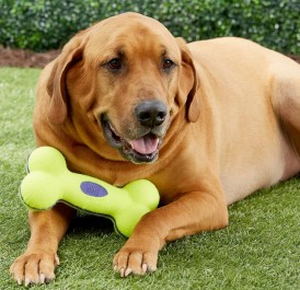KONG Air Squeaker Kość z piszczałką dla psa L - Zdjęcie nr 3