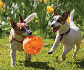 KONG Jumbler Ball L/XL - Zdjęcie nr 3