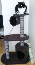 TOFIVET Duży drapak stojący Nr 3 - Zdjęcie nr 9