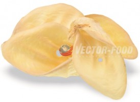VECTOR-FOOD Ucho wołowe białe maxi 1szt. - Zdjęcie główne