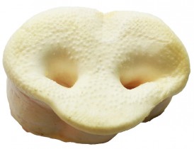 VECTOR-FOOD Noski wieprzowe białe 5szt. - Zdjęcie nr 2